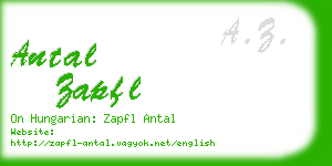 antal zapfl business card